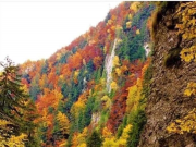 Călător pe drumurile vrâncene