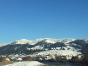 Dorna Arini: drumuri mai bune!