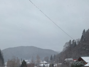 COSAŞII FULGILOR DE NEA