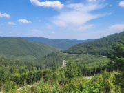 Drumul Talienilor – un splendid traseu turistic