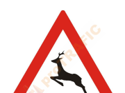 Statul falimentează….statul?!