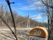R. Moldova: au început lucrările de reparație a îmbrăcămintei rutiere pe drumul regional Orhei – Susleni – Ustia – Criuleni!