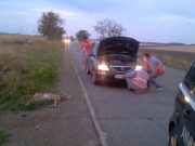 România caută soluții disperate pentru reducerea cheltuielilor, dar aruncă bani cu nemiluita pentru despăgubiri de la accidentele produse de animale. Milioane de euro nu mai sunt folosite pentru asigurarea siguranței circulației.