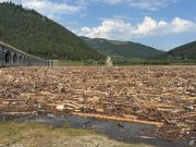Inimaginabil: Viaductul de la Poiana Largului înconjurat de o mare de lemne și resturi venite de pe Valea Bistriței