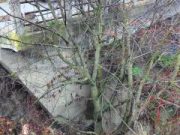 Județul Neamț: pod nou peste pârâul Horaiţa, de pe DN 15C, la ieşirea din Dobreni către Bodeşti