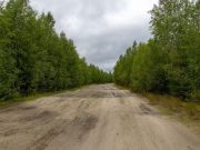 Județul Vaslui: licitație pentru reabilitarea drumurilor județene 243 și 243A