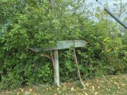 Iașule, unde ești?