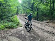 Romsilva va reabilita un drum forestier din comuna Sinești, județul Iași. Lucrările vor fi executate de constructori cu experiență în domeniu.