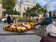 Primăria municipiului Iași va moderniza încă zece străzi