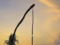 Fântânile de la marginea drumurilor – o tradiție care se stinge!