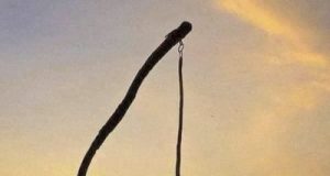 Fântânile de la marginea drumurilor – o tradiție care se stinge!