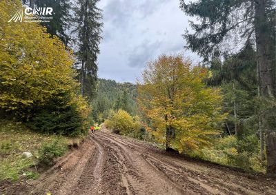 f09884ab-1273-47e1-98fa-e7d3265b25d3