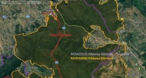 Județul Iași: a fost semnat contractul pentru execuția pistei de bicicliști între mănăstirile Bârnova și Dobrovăț