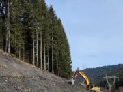 CJ Brașov continuă reabilitarea DJ 102I, Valea Doftanei – Brădet