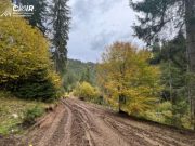 CNIR a emis, astăzi, Decizia de expropriere pentru imobilele proprietate privată situate pe traseul Autostrăzii A8 Târgu Mureș – Târgu Neamț, secțiunea II Miercurea Nirajului – Leghin.