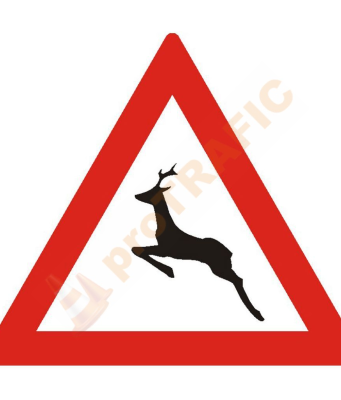 Montarea indicatoarelor rutiere pe drumurile județene, naționale sau comunale cade în sarcina administratorilor, iar lipsa acestora poate atrage despăgubiri.