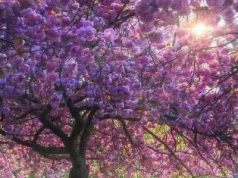 Infrastructura rutieră și curajul de a „înflori”