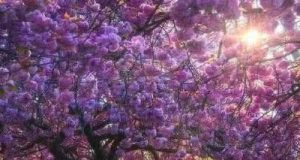 Infrastructura rutieră și curajul de a „înflori”