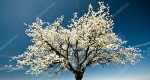 Infrastructura rutieră și curajul de a „înflori” dincolo de calcule