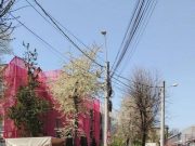 Echipele Citadin SA intervin pentru asfaltări, marcaje rutiere și reparații curente pe străzile din municipiul Iași