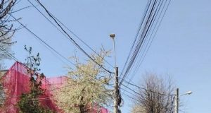 Echipele Citadin SA intervin pentru asfaltări, marcaje rutiere și reparații curente pe străzile din municipiul Iași