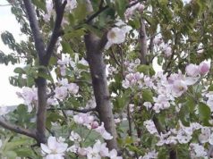 Infrastructura rutieră și curajul de a „înflori”