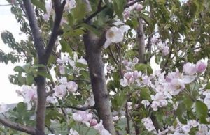 Infrastructura rutieră și curajul de a „înflori”