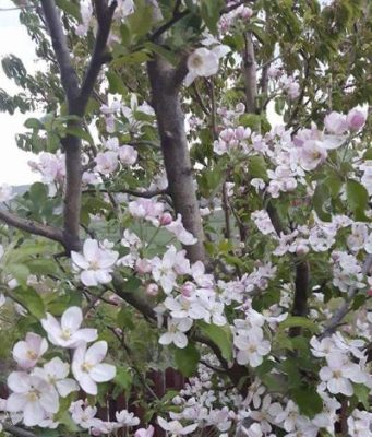 Infrastructura rutieră și curajul de a „înflori”