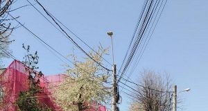 Municipiul Iași: programul marcajelor rutiere pentru lunile mai și iunie!