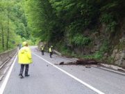 Județul Hunedoara: operațiuni de rănguire în Defileul Jiului, pe DN 66