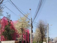 Echipele Citadin continuă intervențiile pentru întreținerea și modernizarea infrastructurii rutiere din municipiul Iași.