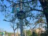 Infrastructură cu obstacole: stâlpi pe pistele de biciclete din Botoșani și pe trotuarele modernizate din Iași