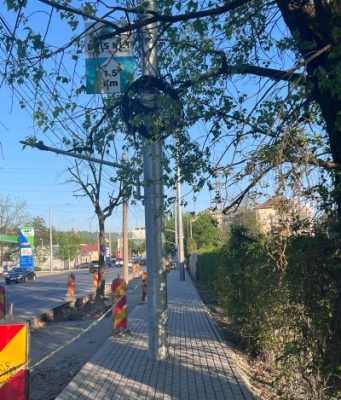 Infrastructură cu obstacole: stâlpi pe pistele de biciclete din Botoșani și pe trotuarele modernizate din Iași