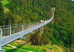 Județul Bistrița-Năsăud: în comuna Parva va fi construit cel mai înalt pod suspendat din Europa!