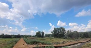 Municipiul Bârlad: pista de biciclete din Aria Protejată Prodana, un proiect inedit în România.