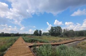 Municipiul Bârlad: pista de biciclete din Aria Protejată Prodana, un proiect inedit în România.