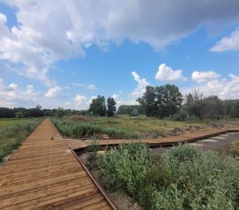 Municipiul Bârlad: pista de biciclete din Aria Protejată Prodana, un proiect inedit în România.