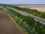 Ingineria naturii protejează Autostrada Soarelui. Perdelele forestiere reduc troienele și își amortizează investiția în doar câțiva ani