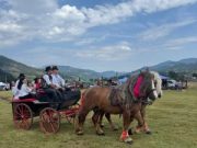 În comuna Dorna Arini continuă investițiile în infrastructură. Au început lucrările unui nou proiect european pentru amenajarea unei zone de promenadă!