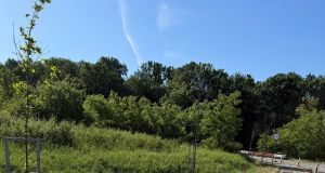 Județul Timiș: vor fi asfaltate 34 de străzi din comuna Giroc, după ce, în ultimii doi ani, alte 36 de străzi au fost modernizate!