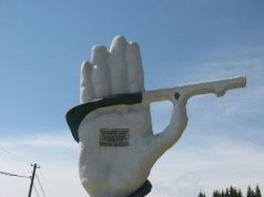 5 August: Ziua Drumarului – respect pentru o breaslă care ține România în mișcare!