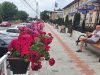 Tomeștiul își modernizează infrastructura: drumuri, trotuare, parcări și piste pentru biciclete, dar și proiecte majore de conectivitate metropolitană