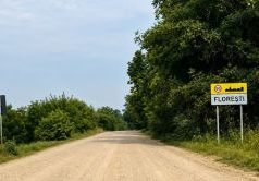 În raionul Anenii Noi va fi reparat capital un sector de 9 km al drumului regional G108