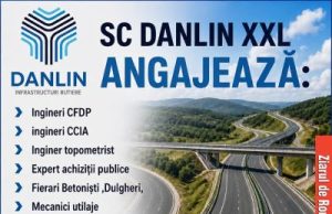 Danlin XXL face angajări. Compania caută personal pentru mai multe posturi în domeniul construcțiilor de drumuri