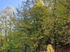 Județul Hunedoara: drumul spre Ținutul Pădurenilor intră în modernizare. Investiție de 31,6 milioane de lei pe DJ 687D