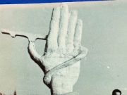 „Palma Drumarilor”, povestea neștiută a oamenilor care au ridicat un simbol al drumurilor. Interviu inedit cu creatorul ei, prof. univ. dr. ing. Radu Andrei