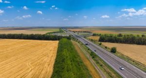 Romsilva a înființat 112 kilometri de perdele forestiere pentru protecția drumurilor